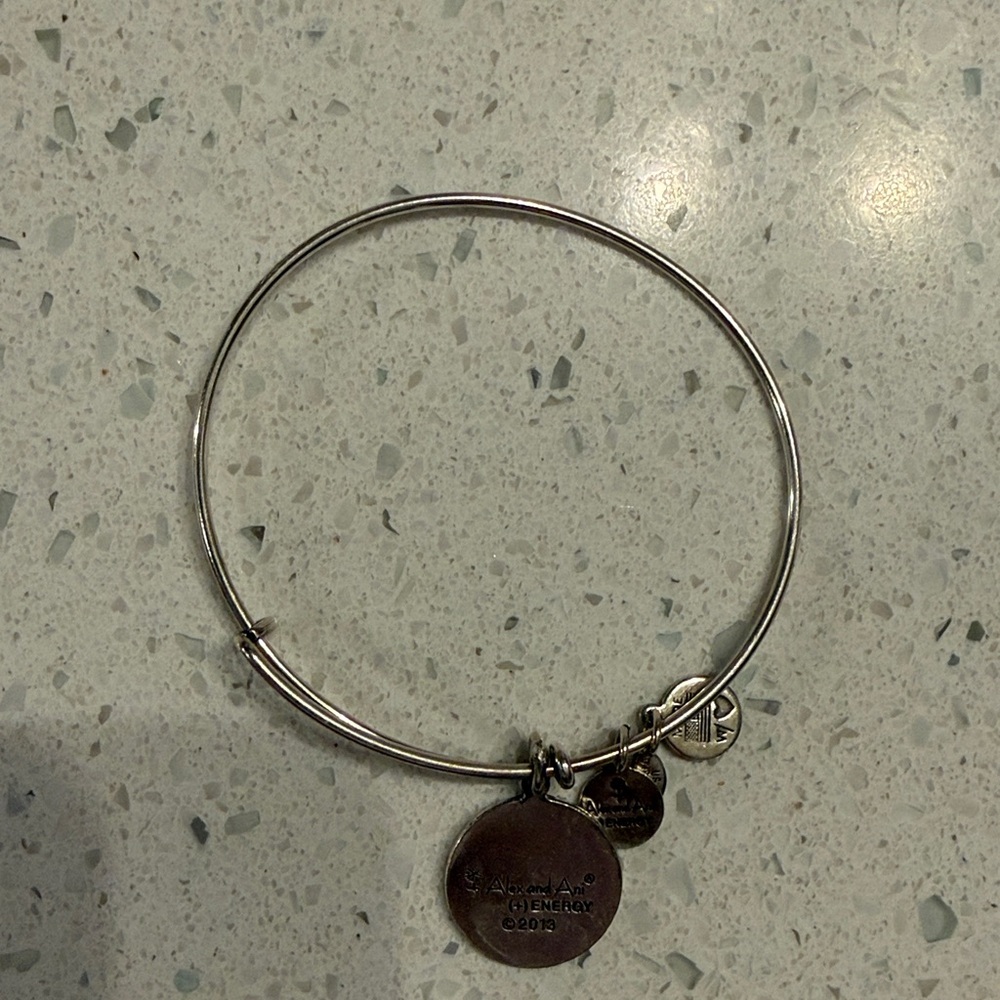 Alex and Ani Silver “L” Charm Bracelet - Picture 6 of 6